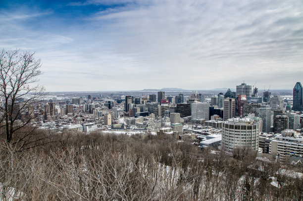 从观景广场看蒙特利尔的天际线图片下载