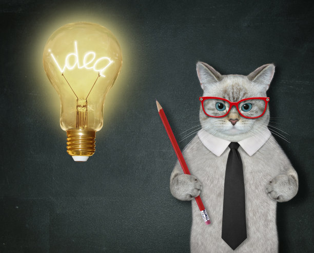 大灯泡附近的猫变成灰色图片下载