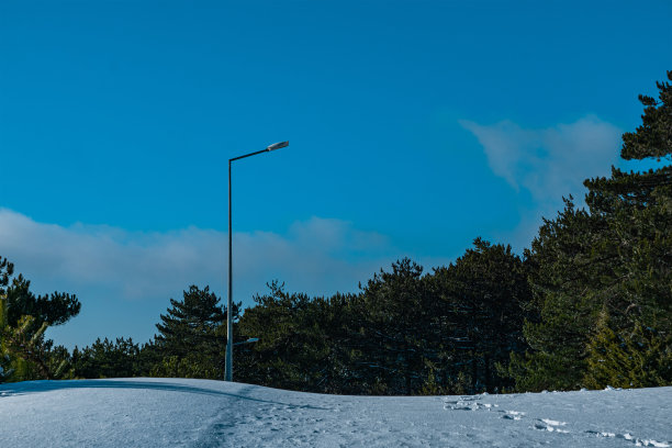 冬天森林里的一盏路灯。图片下载