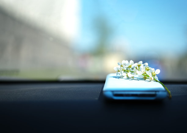 浅蓝色手机在汽车的前面板与白色的鸟樱花的花序。图片下载