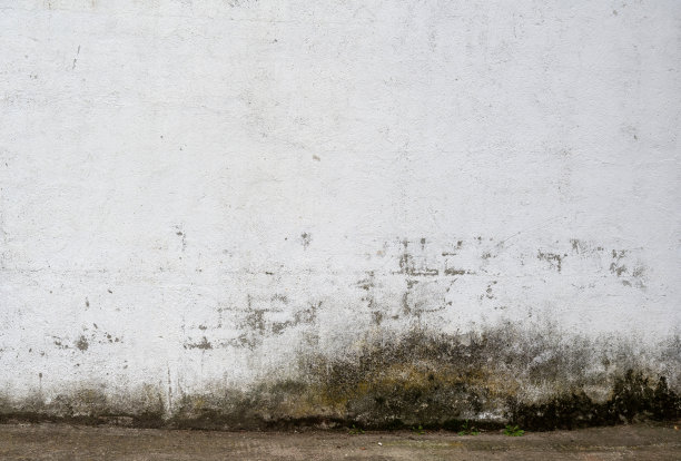有霉菌的旧墙图片下载