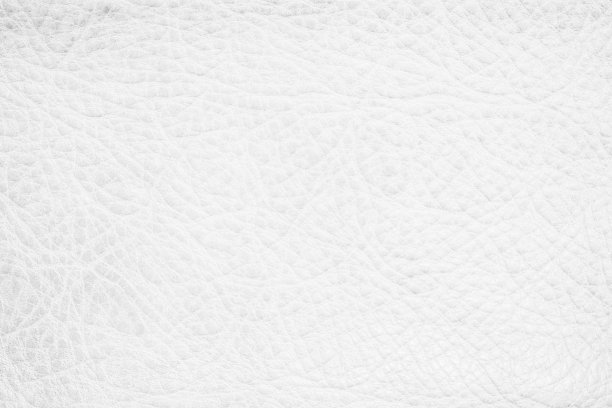 白色真皮纹理背景。空的豪华经典纹理装饰。复古皮自然绒面革与设计线条图案或灰色抽象可以使用壁纸或背景豪华事件。图片下载