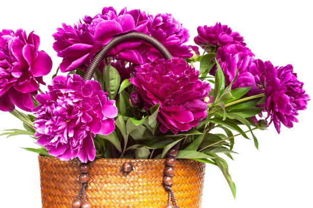 柳条稻草或藤妇女的生态袋与美丽的粉红色牡丹花在白色背景复制空间。女性时尚配饰配牡丹，春夏概念，卡配鲜花图片下载