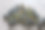 桌子上放着各种尺寸的螺栓和自攻螺钉。特写镜头图片下载