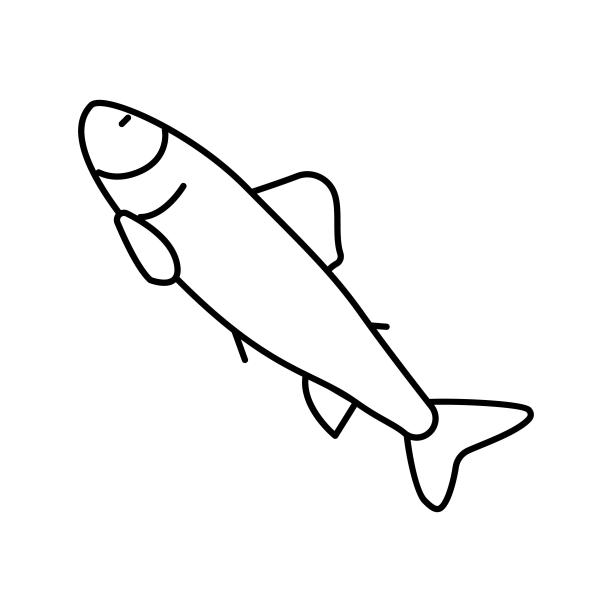 帕尔鲑鱼线图标矢量插图图片下载