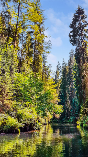 狂野而浪漫的河谷，波光粼粼，萨克森，德国图片下载