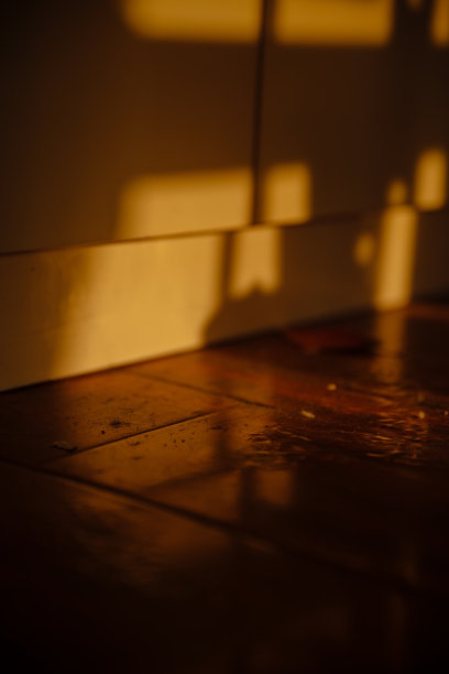 日出的影子图片下载