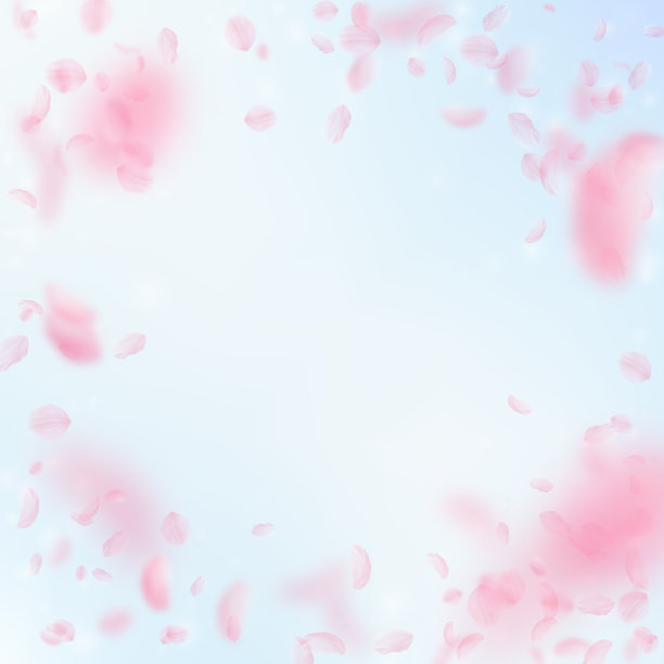 樱花花瓣飘落。浪漫的粉色花朵装饰。飞舞的花瓣在蓝天广场的背景。爱情,浪漫的概念。特殊的婚礼邀请图片下载