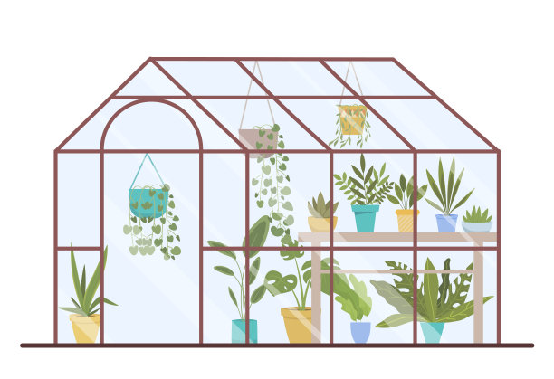 温室的植物图片下载