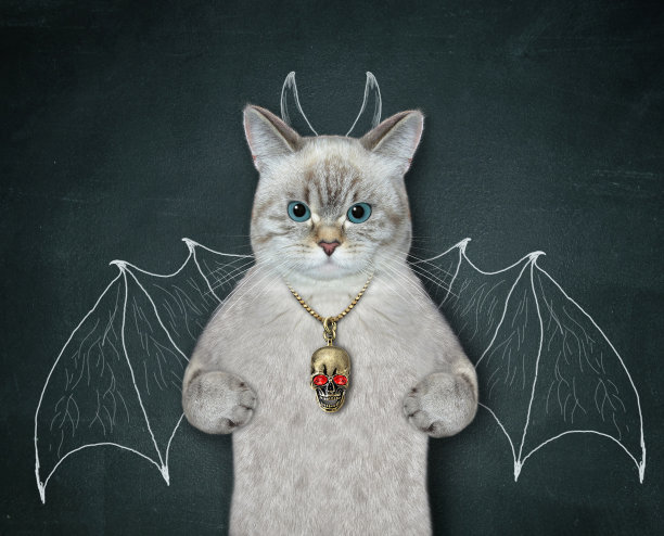 猫灰想当蝙蝠图片下载