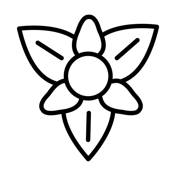 剑兰图标从自然收集。薄线形剑兰，康乃馨，美丽的轮廓图标孤立在白色背景上。线矢剑兰符号，网络和移动符号。图片下载