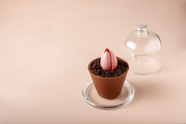 巧克力蛋糕和黑色饼干在米色背景，复制空间图片下载