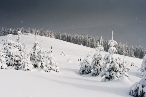 冬天的风景图片下载