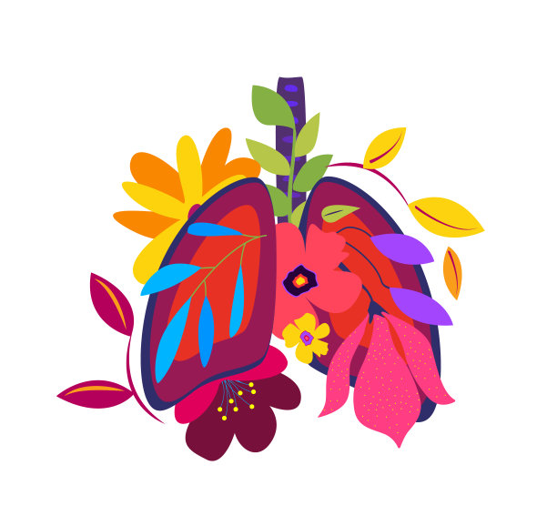 美丽的花健康的肺。呼吸系统,花。花的内部器官人类的肺。解剖呼吸系统。肺部医学，海报，旗帜，肺科诊所。平面向量插图图片下载