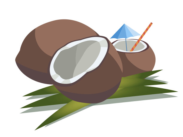 矢量插图的三个椰子:整个，减半和切碎的稻草和雨伞图片下载