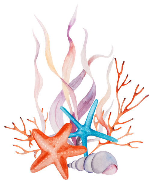 水彩安排由海藻，贝壳，珊瑚和海星。插图的花束图片下载