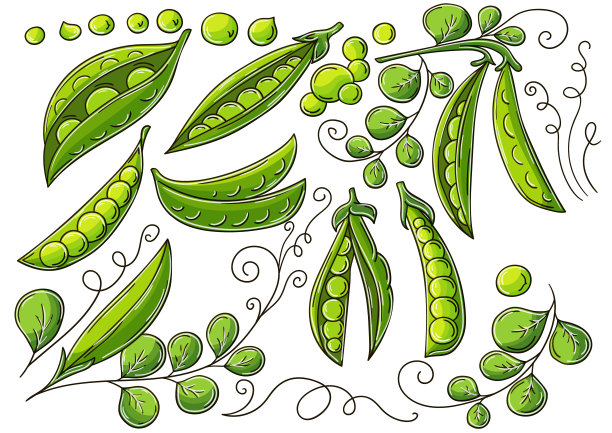 一组手绘风格的矢量插图图片下载