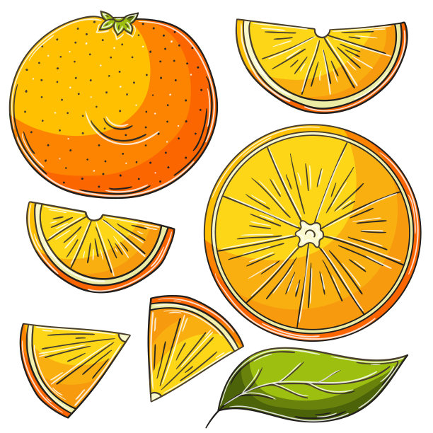 一组手绘风格的矢量插图图片下载