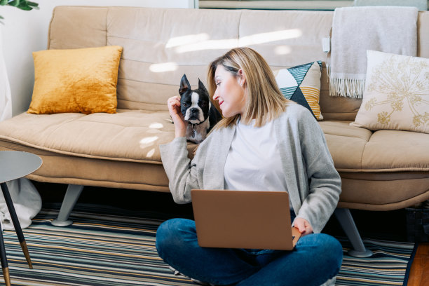 年轻女性在家和一只波士顿梗狗一起工作。自由职业女商人使用笔记本电脑在阳光明媚的房间。学生在家学习和工作。图片下载