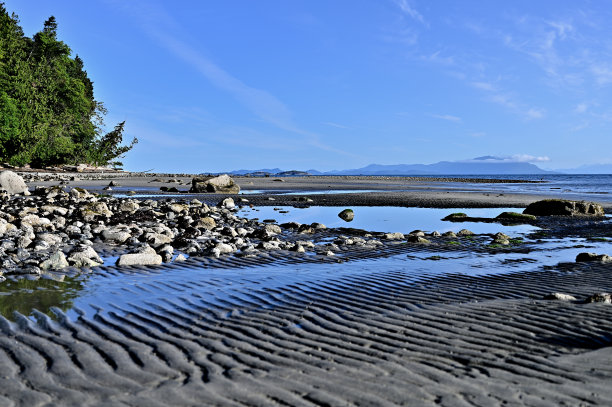 沙滩上的沙子和石头的混合物图片下载