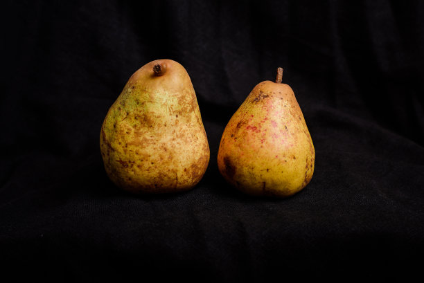 黑色背景上的两个黄梨。图片下载