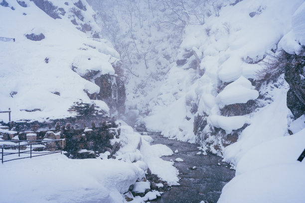 2022年2月，长野冬季，日本猕猴与雪和温泉为伴图片下载