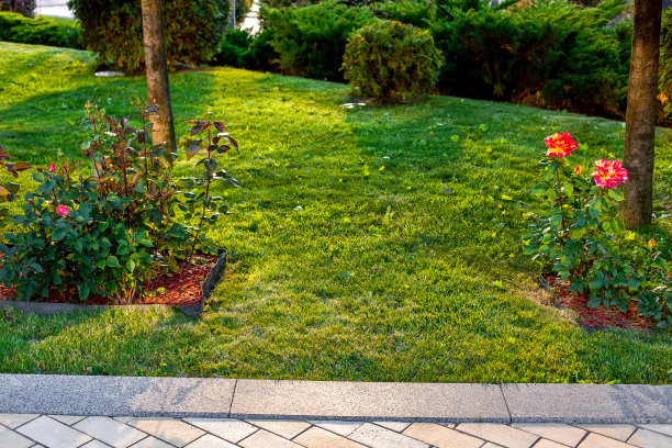 玫瑰花生长在后院护根花坛与绿色草皮草坪被日落轻春天景观附近的石瓦走道与花岗岩路边，没有人。图片下载