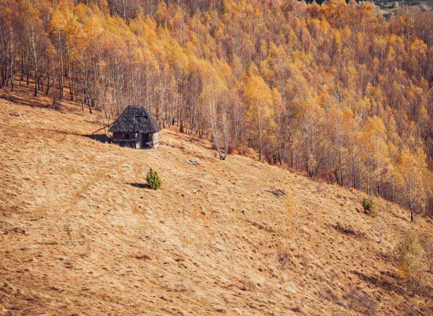 罗马尼亚喀尔巴阡山脉的乡村景观，一座废弃的旧木屋或避难所。秋天的风景。图片下载