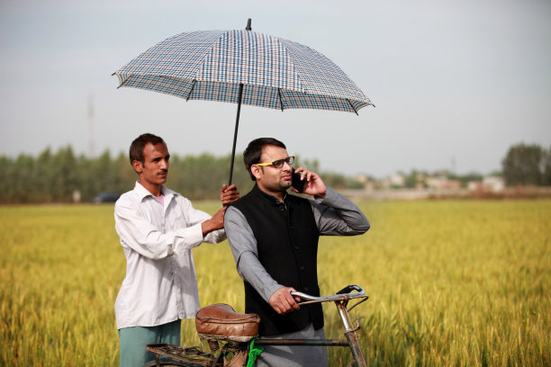 房东在户外用手机聊天图片下载