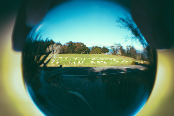 未来的牧羊理念图片下载