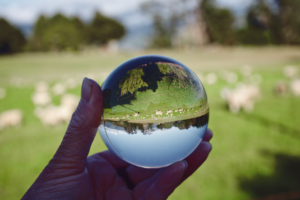 未来的牧羊理念图片下载