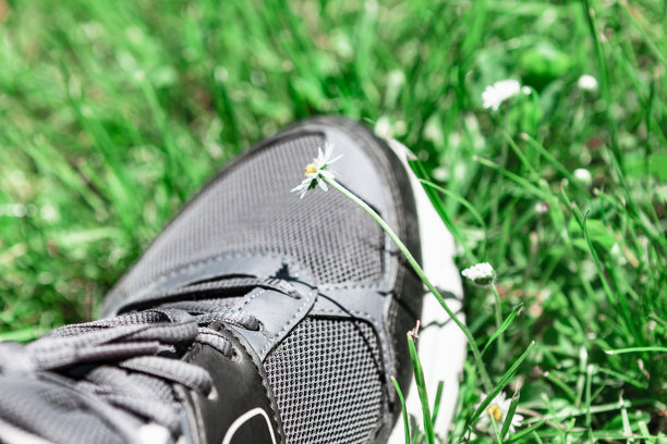 草地上的鞋子图片下载