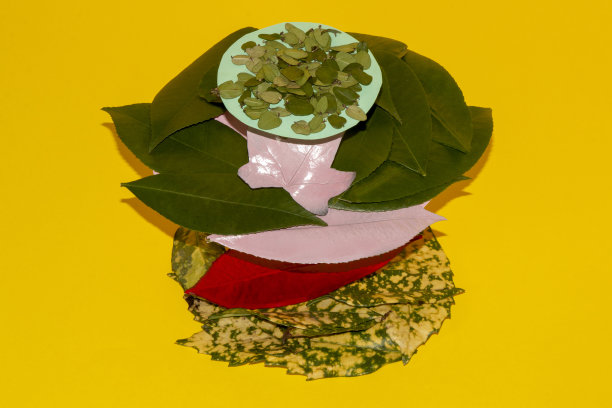 各种颜色和大小的叶子的创造性安排作为一个黄色背景上的3d对象，美丽的自然艺术森林背景图片下载