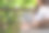 一个年轻女人喝咖啡的特写图像，而使用笔记本电脑工作或学习在家里在线图片下载