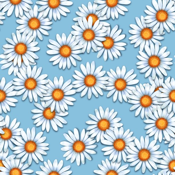 洋甘菊。无缝图案与雏菊花图片下载