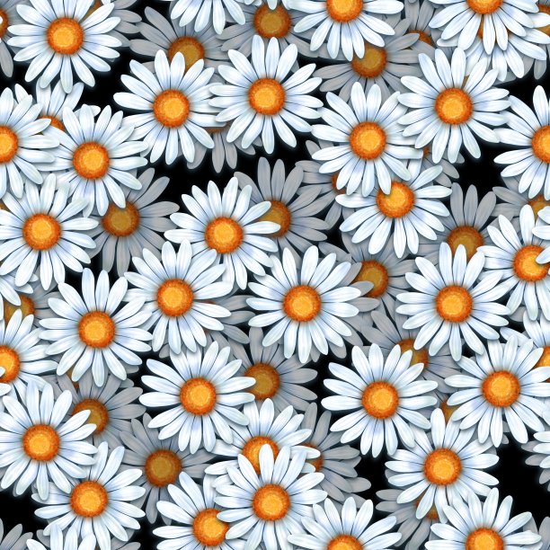 洋甘菊。无缝图案与雏菊花图片下载