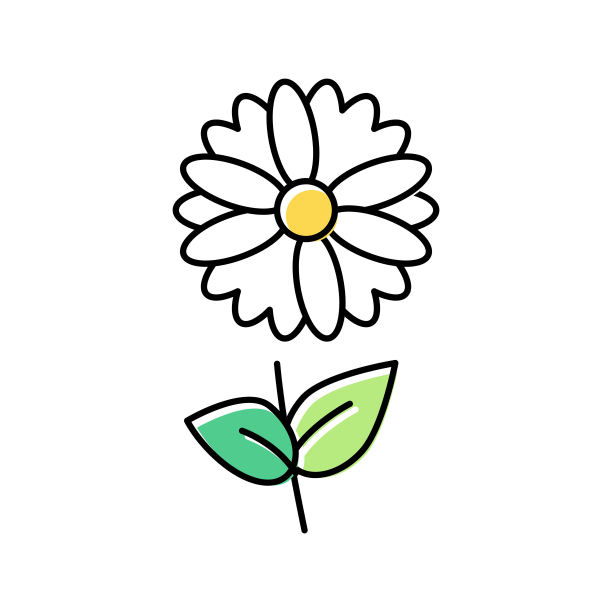 洋甘菊花芳香疗法颜色图标矢量孤立插图图片下载