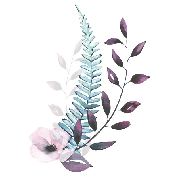 水彩手绘腮红粉红色的海葵，蓝色和紫色的花束叶子。白色背景上的插花安排图片下载