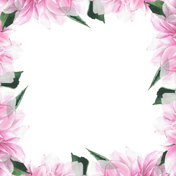 水彩手绘粉红色大丽花和深绿色的叶子框架。白色背景上的插花安排图片下载