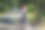 踩滑板的人站在公园的小路上图片下载