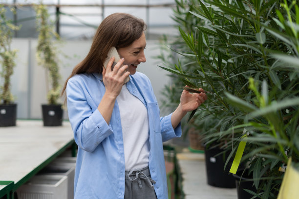 园艺、种植和购物的概念。女人选择温室或花园中心的室内植物和花盆。用他的智能手机打电话。图片下载
