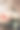 结婚戒指和鲜花放在一个漂亮的盒子里作为新娘的装饰品图片下载