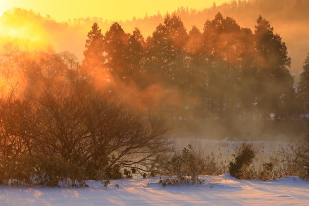 冬天的清晨景观图片下载