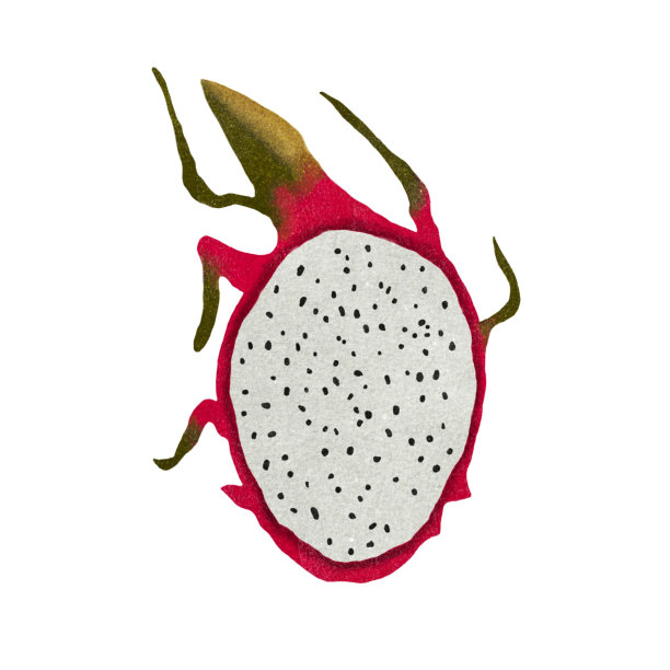 水彩插图明亮成熟的半龙果孤立在白色背景。为您设计的热带水果图片下载