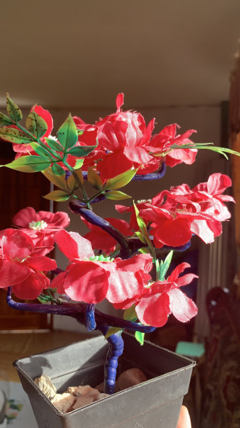 用剩余材料制成的花图片下载