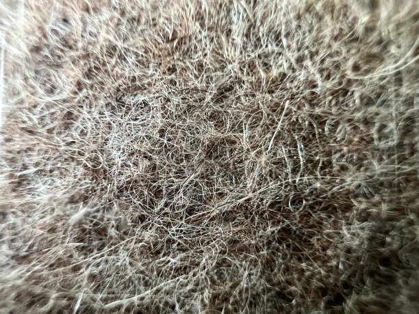 灰白色织物的微距图像。图片下载