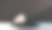 模型，讲台，显示与怪物叶片热带植物背景，3d渲染图片下载