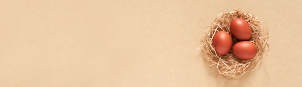 复活节彩蛋横幅，在一个巢上的深米色背景。最小的概念。前视图。有复制空间图片下载