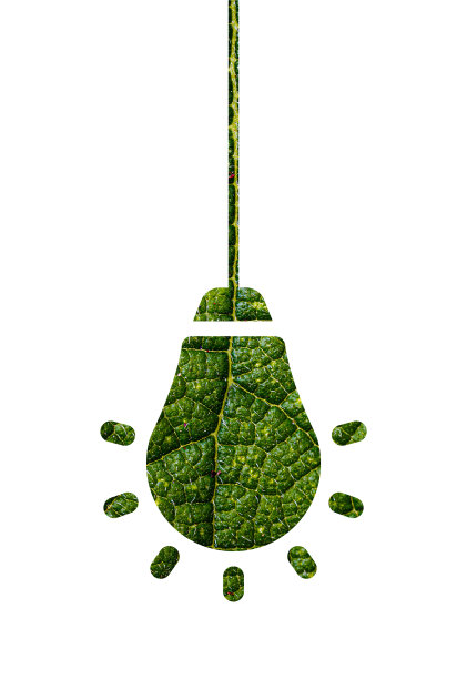 白色背景上孤立的绿叶做成的灯泡。卫生保健的概念。绿色能源。可持续环境视觉效果图片下载