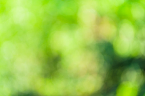 绿色散景背景与圆圈。夏天抽象的主题。图片下载